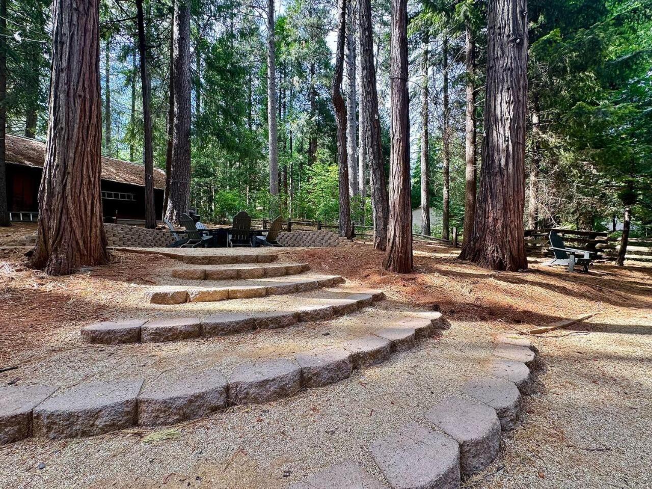 Cabin In The Trees-Game Room Pollock Pines Extérieur photo