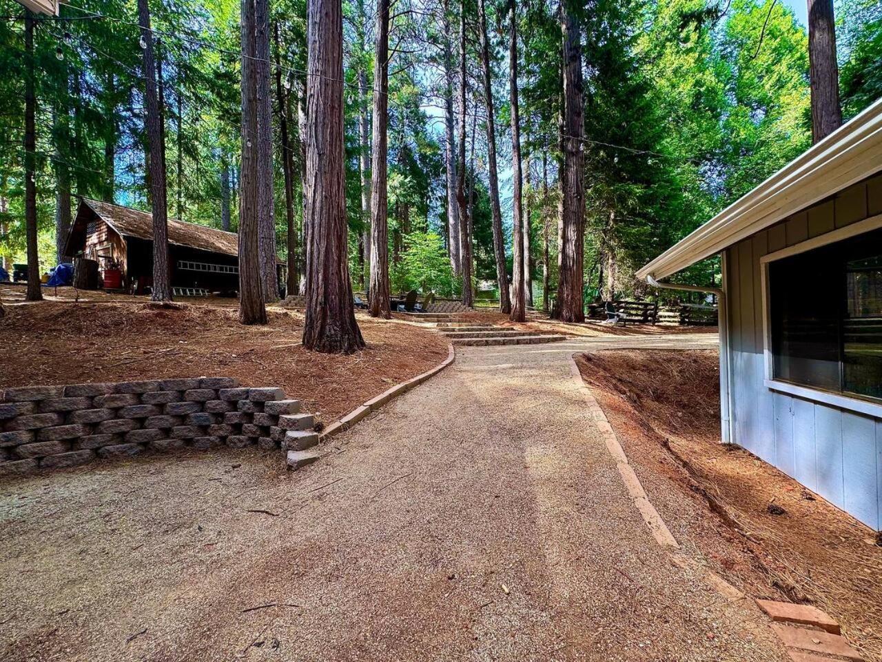Cabin In The Trees-Game Room Pollock Pines Extérieur photo