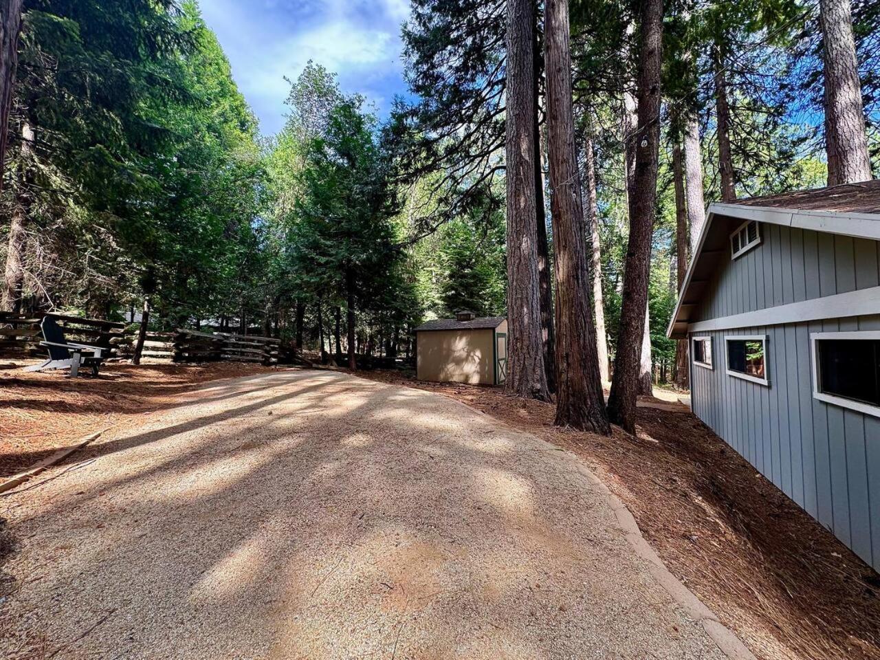 Cabin In The Trees-Game Room Pollock Pines Extérieur photo